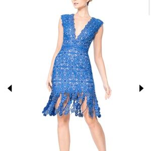 Tadashi Shoji Royal Blue Lace Mini Dress